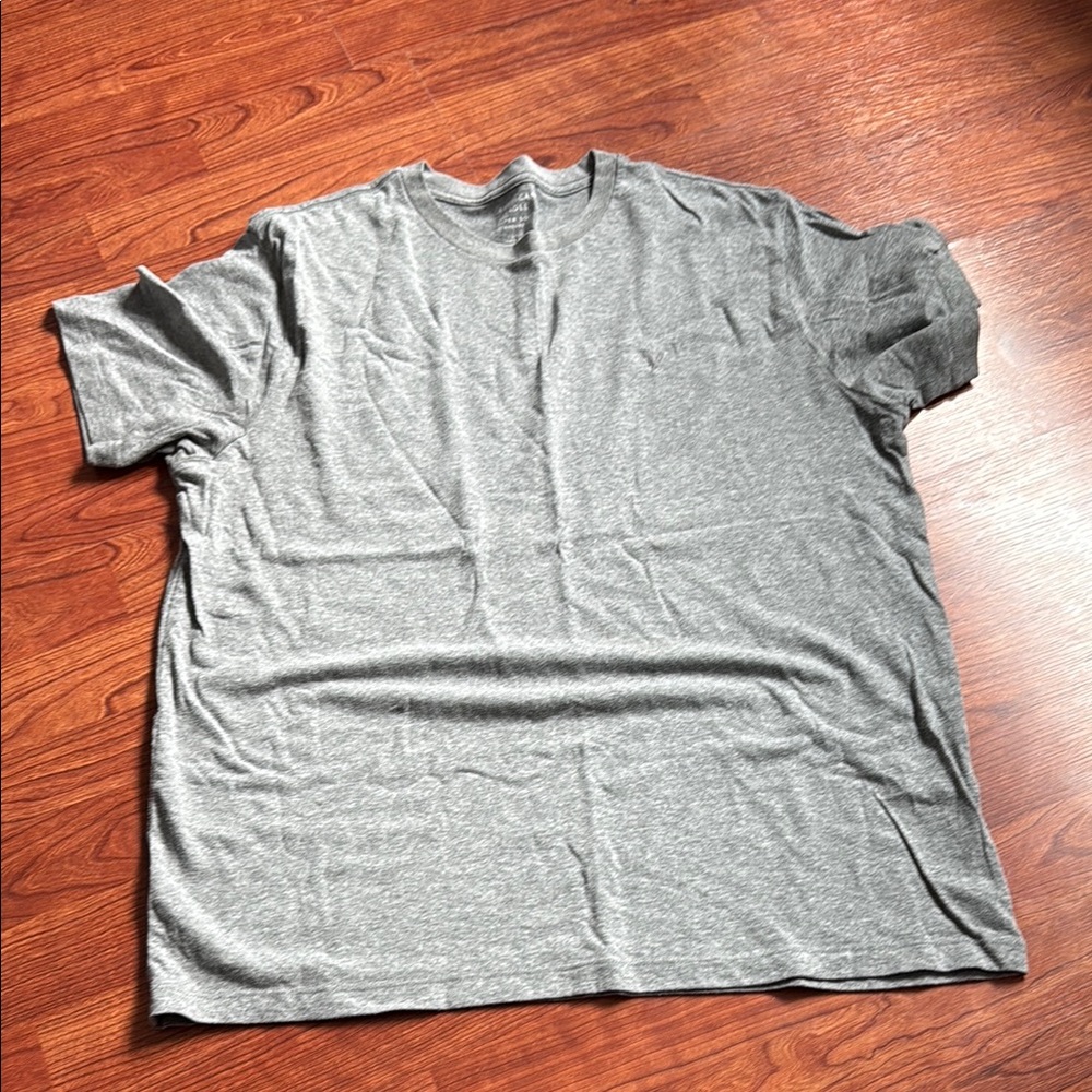 American Eagle Outfitters Gray Short Sleeve Tee